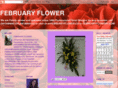 februaryflower1.com