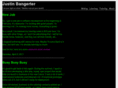 justinbangerter.com