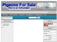 pigeons-for-sale.com