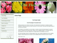 yourfloweroutlet.com