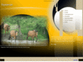 equisense.net
