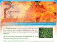 positiveherbs.com
