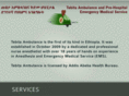 tebitambulance.com