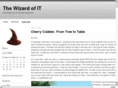 thewizardofit.com