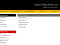 miprofedeguitarraflamenca.com
