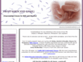 aboutbirthandbabies.com