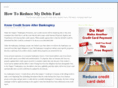 reducemydebts.net