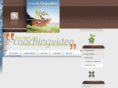 e-coachingvideo.com