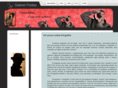 gabrielcrf.com.br