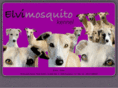mosquitokennel.com