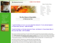 austinbeeremovalspecialists.com