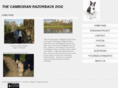 cambodianrazorbackdogs.com