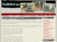 paintballfunk.com
