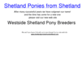 westsideshetlandponybreeders.co.uk