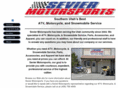 sanzelectric.com