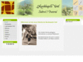 vintilamusig.com