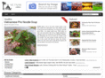 vnculture.com