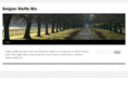 belgianwafflemix.com