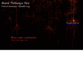 neural-pathways.asia