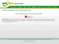 senergysolutions.com