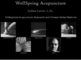 wellspringacupuncture.com
