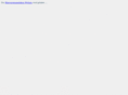 bratwurstritter.com