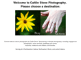 caitlinstone.com