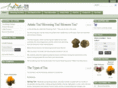 artistictea.com