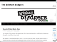 brixhambadgers.com