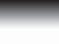 gulfoilonline.com