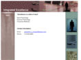 integratedexcellence-stl.com