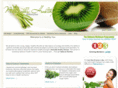 naturallyhealthylifestyles.com