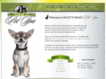 pacettiroadpetspa.com