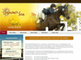 summersunhorseshow.com