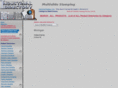 multislidestamping.com