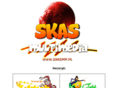 skasmm.com