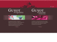 vins-guyot.com