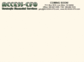 access-cfo.com