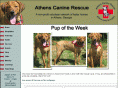 athenscaninerescue.com
