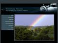 berkshirevisions.com