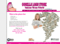 gorillaloanstore.com