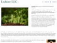 ludane.com