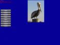 net153.net