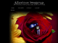 zealousimagery.com