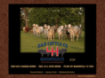 handhcattlecompany.com