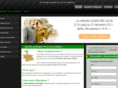 immobilierloiscellier.com