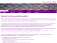 joyousquilter.com