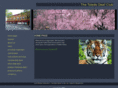 tdcnow.com