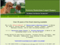 washingtoncrossingpacarpetcleaners.com