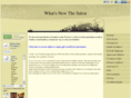 whatsnewthesalon.com